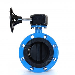 法蘭式蝸輪蝸桿蝶閥DN125，1.6Mpa橡膠密封